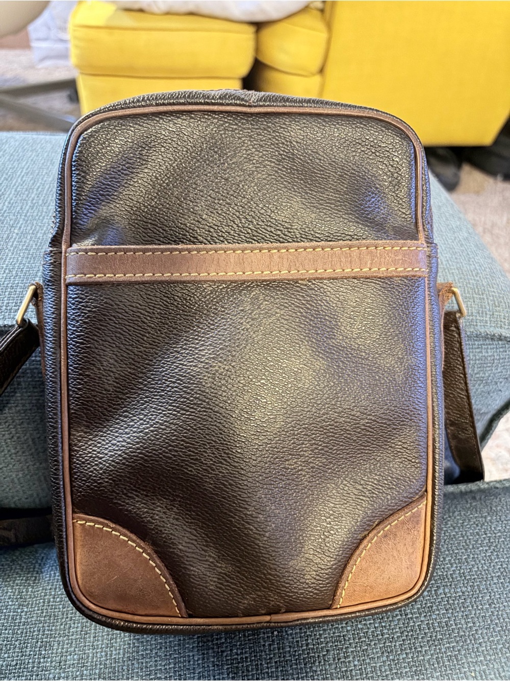 Louis Vuitton Monogram Danube Crossbody Bag